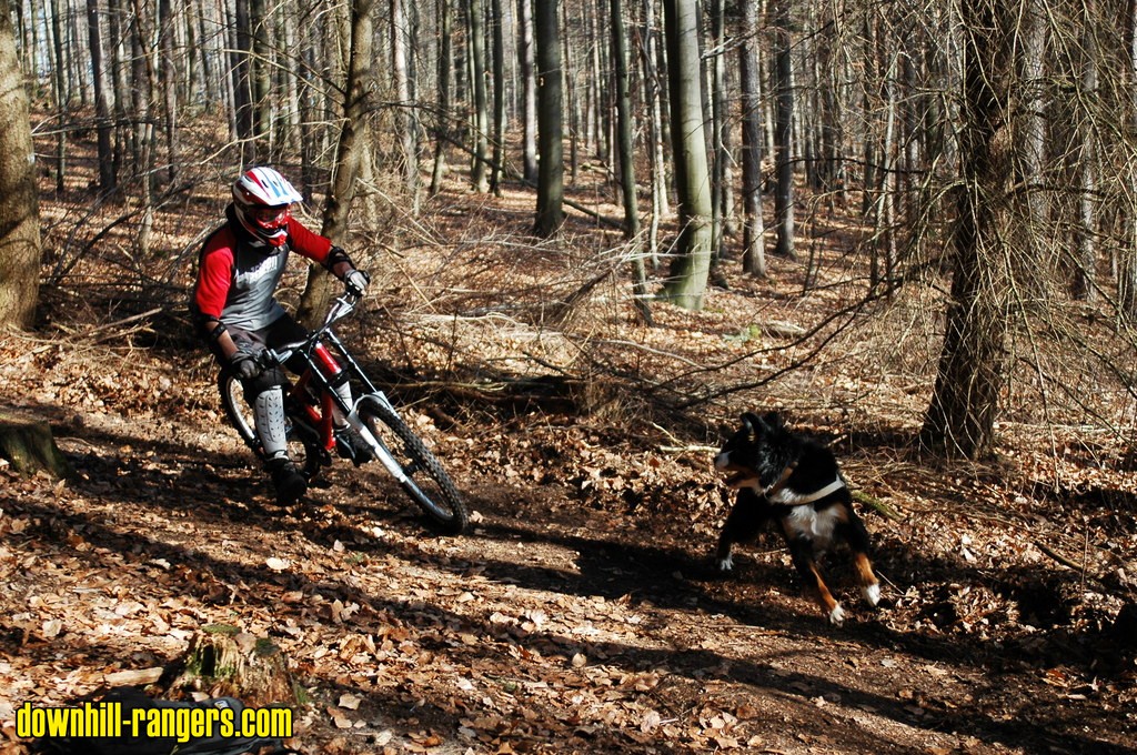Hometrail_i