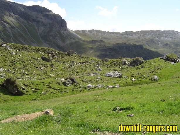 Murmeltier_mit_Panorama