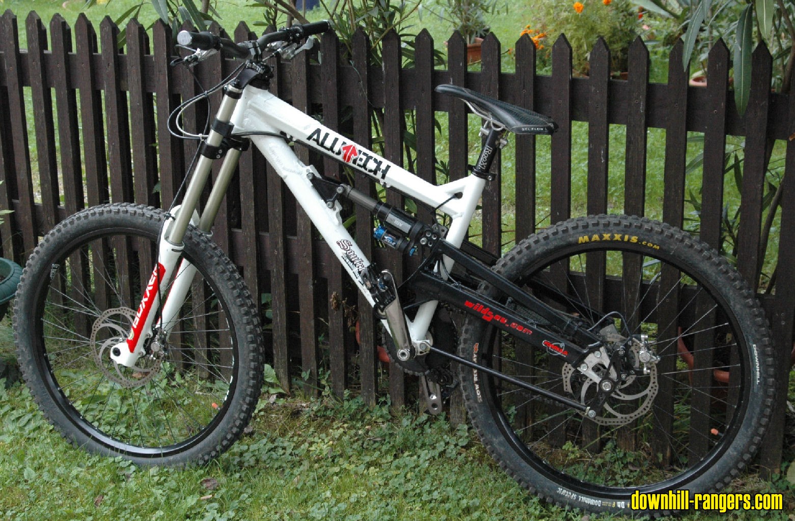 Pudel_DH_26_09_2008