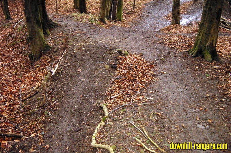 Roadgap