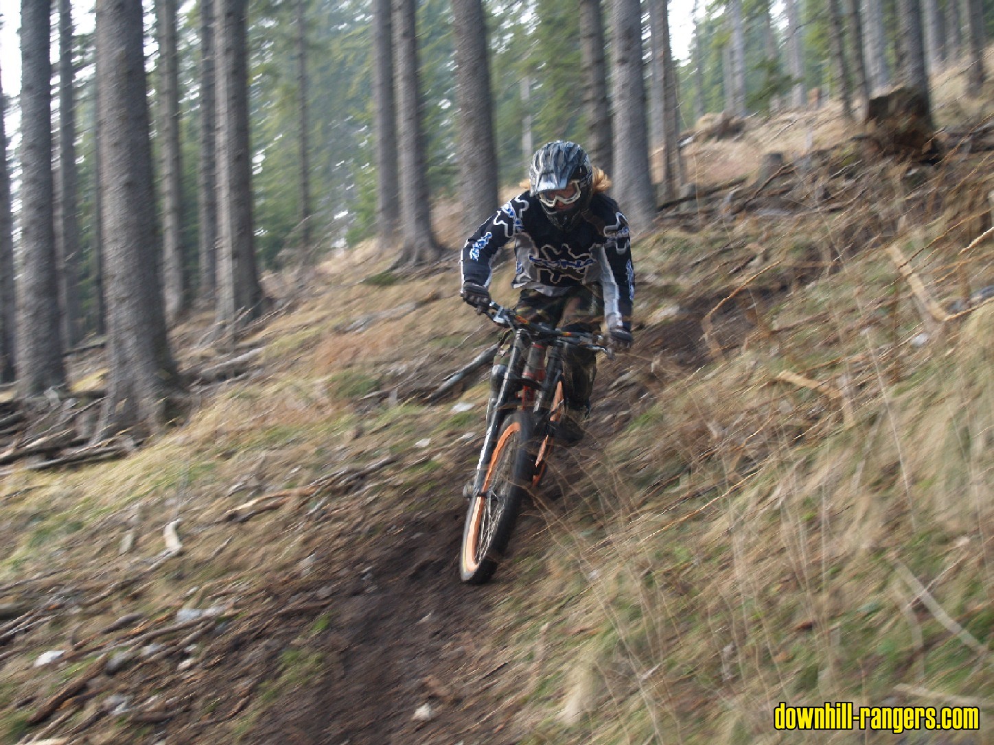 puch_kurve