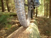 Logride
Dateiname: 100_0710.jpg