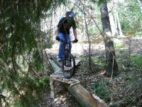shore riding
Dateiname: 100_0713.jpg