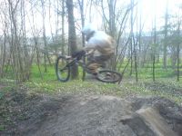 dirt
Dateiname: 1212351.jpg