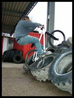 Tire Abu
Dateiname: 2abutireupp.jpg