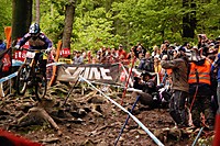 Rockgarden
Dateiname: Aaron-gwin.jpg