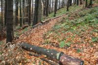 180� Anlieger-21m
Dateiname: Bild_079.jpg