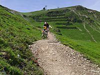 17.07.09
Dateiname: CIMG1090.jpg