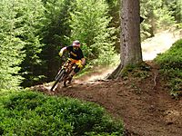 17.07.09
Dateiname: CIMG1154.jpg