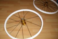 Commencal
Dateiname: CIMG1182.JPG