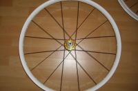 Commencal
Dateiname: CIMG1184.JPG
