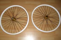 Commencal einspeichen @ home
Dateiname: CIMG1185.JPG