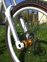 Commencal
Dateiname: CIMG1351.JPG