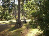 Teide Downhill Wegmarkierung
Dateiname: CIMG1807.jpg