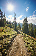 Hacklberg Trail Reshape Saalbach
Dateiname: CV0R9912.jpg