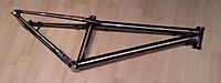 SuperCo Charger XL
Dateiname: ChargerRahmen25012010001.jpg