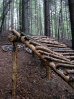 Northshore
Dateiname: DSC00118.JPG