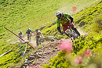 Gang Battle
Dateiname: DSC4710-2-4.jpg
