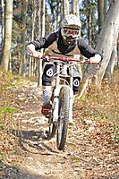 rocks'n'roots 2
Dateiname: DSC_0146.jpg