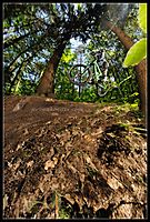 fahrradfahrn
Dateiname: DSC_2299_Kopie.jpg