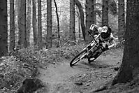 Anlieger
Dateiname: DSC_3888_Large_.JPG