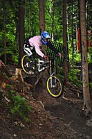 Semmering 11.6.2009
Dateiname: DSC_8464_klein.jpg