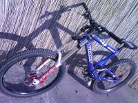 68468486
Dateiname: Foto-0009.jpg