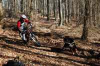 playing with the dog
Dateiname: Hometrail_i.jpg