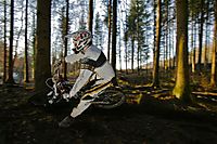railing a berm
Dateiname: I8U4064.JPG