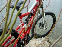 Devinci Wilson 3
Dateiname: IMG_2194n.jpg
