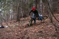Bl�d gelaufen
Dateiname: IMG_8046.jpg