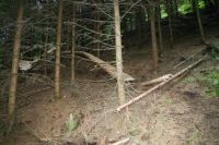 Northshore
Dateiname: Kopie_2_von_IMG_0139.JPG