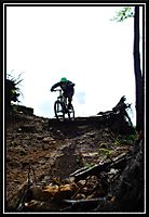 hop
Dateiname: Kopie_von_DSC_0124.JPG