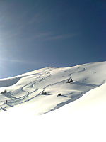 perfect day
Dateiname: Lines.jpg