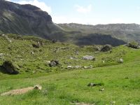 S��es Murmeltier mit Panorama
Dateiname: Murmeltier_mit_Panorama.JPG