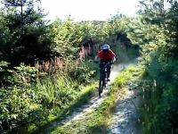 Haustrail
Dateiname: No_Rulez_FREERIDE_0002.jpg