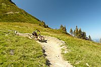 X-Line
Dateiname: P1020187.JPG