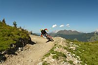 X-Line
Dateiname: P1020192.JPG