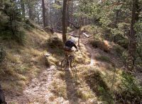 freeride
Dateiname: PICT3793.jpg