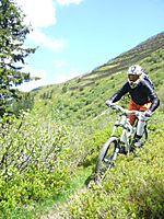 Flowriden in Saalbach
Dateiname: Sandra17a.JPG