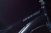 Specialized Enduro Elite
Dateiname: Speci_Enduro_Elite.jpg