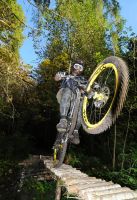 skinny
Dateiname: Wheely.jpg