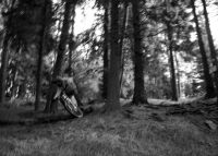 sch�ckl
Dateiname: bearb2.jpg