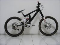 Cheeta Proline DH
Dateiname: cheeta.JPG