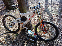Cove Peeler
Dateiname: covepeeler09dhb.jpg