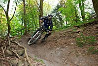 Hometrack
Dateiname: dog1.jpg