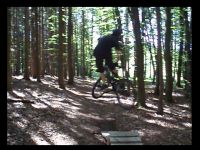 MoToWhIp
Dateiname: moto.JPG