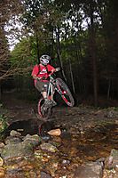 wastl
Dateiname: roland_bilder_3.jpg