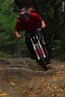 �ron horse in action =)
Dateiname: schladming_01.jpg