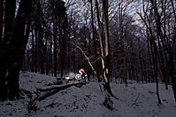 Schnee
Dateiname: schne.JPG